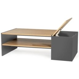 Table basse bar contemporaine izia avec coffre gris et bois - Gris