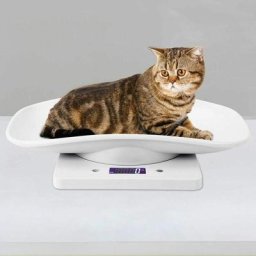 Balance numérique pour petits animaux 10kg/1g pour mesurer avec précision chat chien outil de