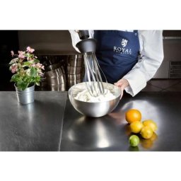 Mixeur Plongeant Professionnel Mixage 500 W 16 000 T/Min Longueur 250 Mm - Blanc