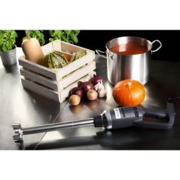 Royal Catering - Mixeur Plongeant Pied Pro Broyage Mixage 500W 16000T/Min 400Mm - Vert, Argent,