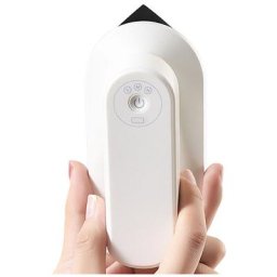 Fer à repasser électrique sans fil rechargeable en fer sec anti-rides pour les voyages d'affaires à