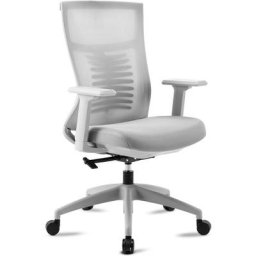 Chaise de bureau avec roulettes, chaise de bureau ergonomique à hauteur réglable, chaise