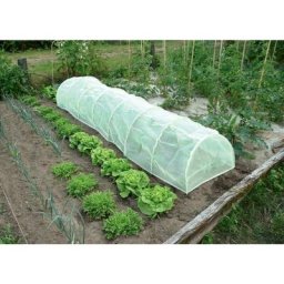 Protect tunnel anti-insectes