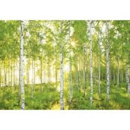 Photo murale de Komar Sunday - Taille: 368 x 254 cm - vert