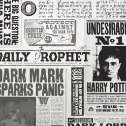 Papier peint Harry Potter La Gazette du sorcier 1000 x 52cm Noir, blanc - Noir