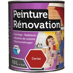 Batir Peintures - Peinture rénovation multi-surfaces boîte 0,5 l cerise