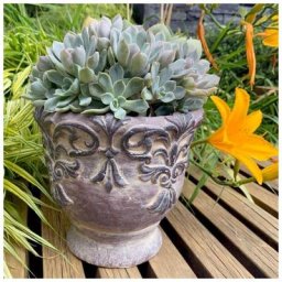Amphore baroque Béton Pot de fleur Vintage Cache-pot Jardin Balcon Cuisine ø 20cm Déco Succulentes