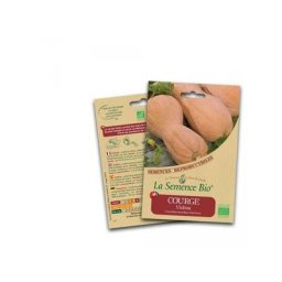 Graines bio Courge Violina La Semence Bio