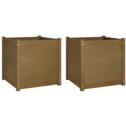 Jardinières 2 pcs Marron miel 60x60x60 cm Bois de pin massif Vidaxl Honey brown