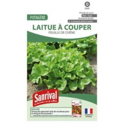 Graines Laitue feuille de chêne à graine noire. . Marque : Sanrival Réf. : 0260
