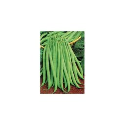 Haricot nain delinel - 150 g