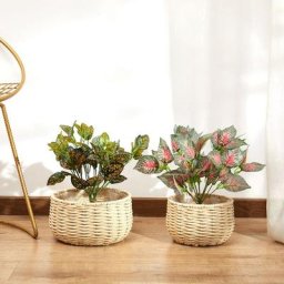Paco Home - Pot De Fleurs Cache-Pot Grand Bac Intérieur Pot De Plantes Lot Osier Tressé Bois Crème,