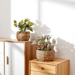 Paco Home - Pot De Fleurs Cache-Pot Grand Bac Intérieur Pot De Plantes Lot Osier Tressé Bois
