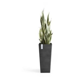 Pot Haut Rotterdam 70 Gris Foncé - 32 x 32 x h. 70 cm - 42 l - Ecopots