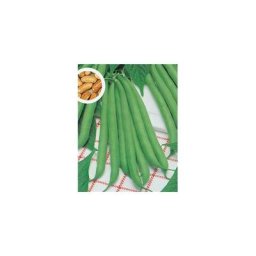 Haricot nain contender - 150 g