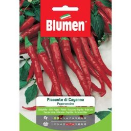 Graines de piment cayenna chaud