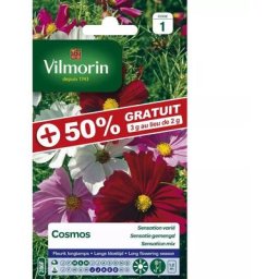 Sachet graines Cosmos à grande fleurs Varié +50% gratuit -Cosmos bipinnatus