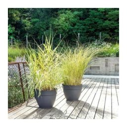Deroma - Pot de fleurs a reserve d'eau Ninfea r Anthracite - 40 cm