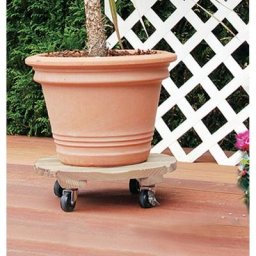 Nortene - Support à roulettes rond Flora Roll Autoclave - 35 cm