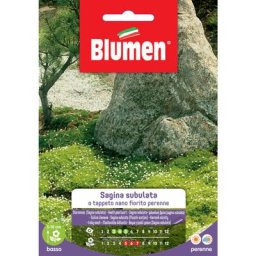 Sub-Trink Seeds - Blumen
