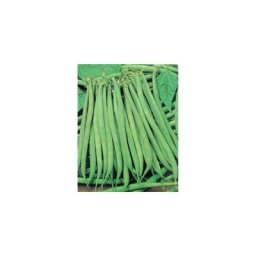 Haricot nain calypso - 150 g