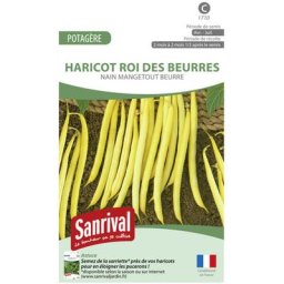 Graines Haricot Nain Roi des Beurres. . Marque : Sanrival Réf. : 1710