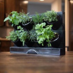 Kit jardin d'interieur verticale avec 8 pots noirs avec pot à arrosage automatique et réservoir