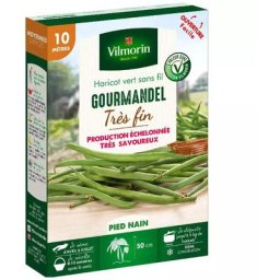 Vilmorin - Graines de Haricot nain vert Gourmandel - 10 mètres