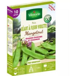 Sachet graines Pois Géant à fleur Violette 10 mètres - Pisum sativum