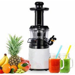 Extracteur de jus Presse-agrumes en acier inoxydable 200W Sans bpa Blanc ou acier inoxydable