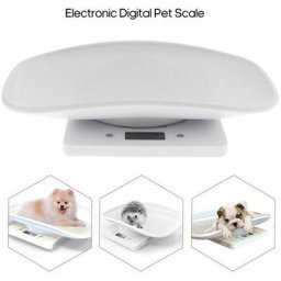 Balance électronique d'affichage d'affichage à cristaux liquides de petite balance de chat de chien