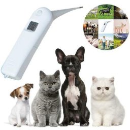 Thermomètre pour animaux de compagnie Thermomètre électronique animal Thermomètre pour chien