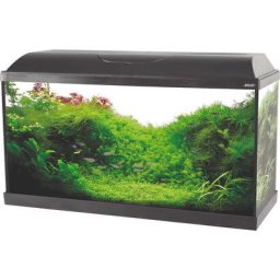 Kit aquarium Iseo 84 litres éclairage led