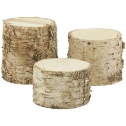 Supports tronc en bouleau (Lot de 3) - Naturel