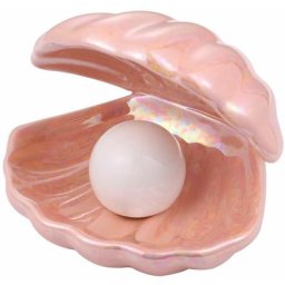Perle de coquillage lumière accentuée - Veilleuse en coquillage - Décoration de table - Pour