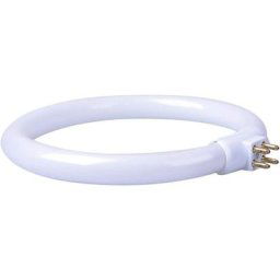 Lampe Anneau led Lampe Fluorescente 11W T4 Lampe Ronde Lampe Anneau avec 4 Broches Lampe à Économie