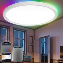 Plafonnier 24W rgb Plafonniers Backlight led Plafonnier IP44 dimmable bluetooth wifi - blanche