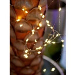 Guirlande lumineuse en épi Eurolite 50499260 n/a blanc chaud n/a