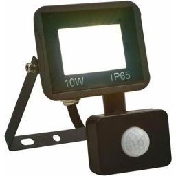 Projecteur à LED avec capteur 10 W Blanc froid vidaXL - Blanc froid