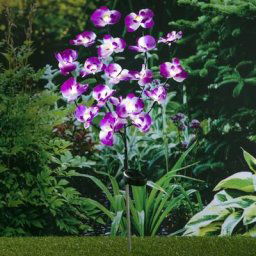 HI - Lampe solaire à led de jardin en forme d'orcdée 75 cm Pourpre