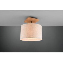 Trio Lighting - Plafonnier Elmau Nickel antique 1x60W E27 - Gris