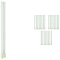 Philips - Lot 25x master pl-l 36W - 840 Blanc Froid 4 Pin - 4000K - Blanc Froid