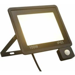 Projecteur à led avec capteur 100 w Blanc chaud Vidaxl Blanc chaud