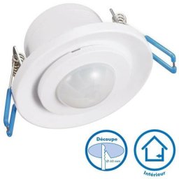 Détecteur de mouvement orientable IP20