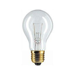 La lampe s'inclut pour goach 60w e27 24v 6024