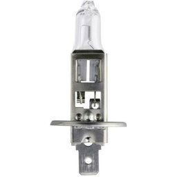 Ampoule halogène Philips 36196430 Longlife H1 55 w 1 pc(s) - clair