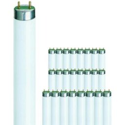 Philips - Lot 25x master tl - d Super 80 18W - 840 Blanc Froid 60cm - 4000K - Blanc Froid