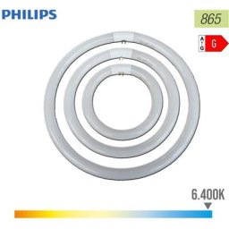 Philips - Tube fluorescent circulaire 32w ø30cm triphosphor 865k lumière froide