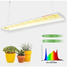 SF600 74W led Grow Light Panel Indoor Grow pour semis et légumes - Spider Farmer