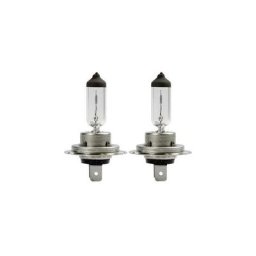 Ampoule halogène AEG 97264 White Xenon H7 55 W 1 paire(s)